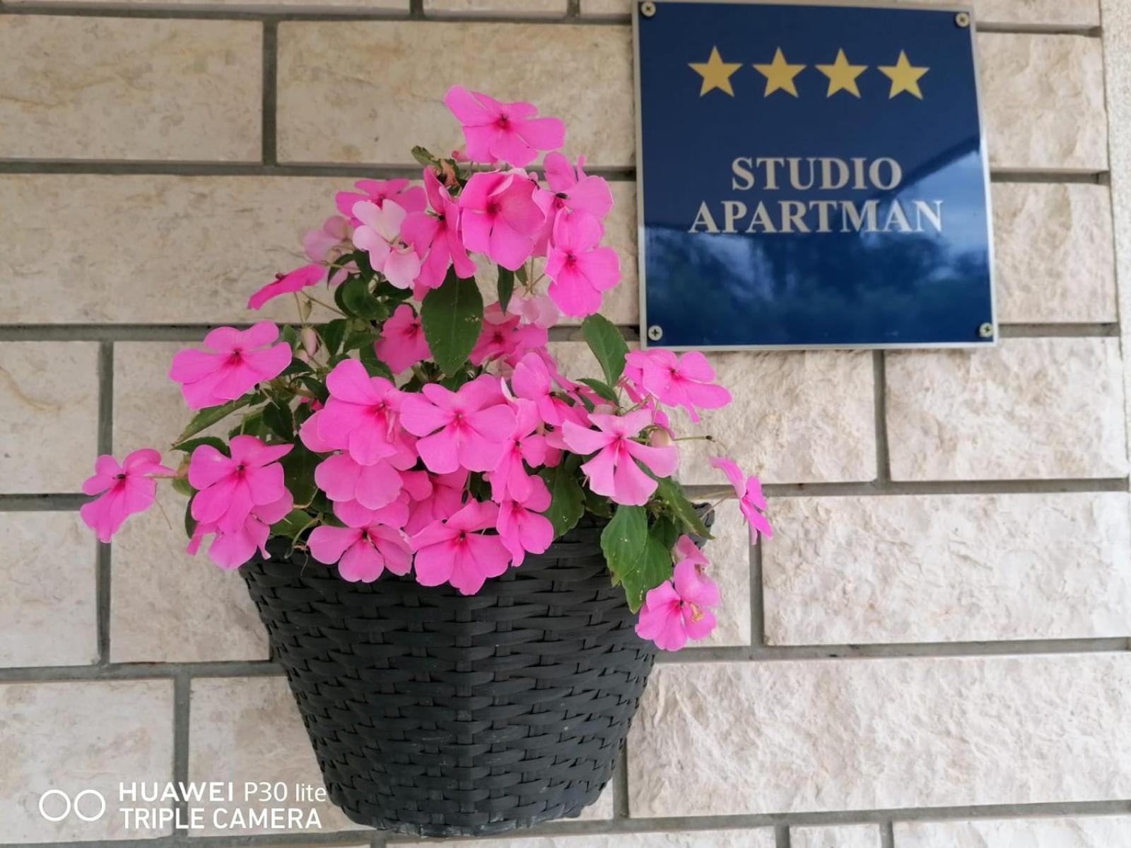 Borna Apartment *