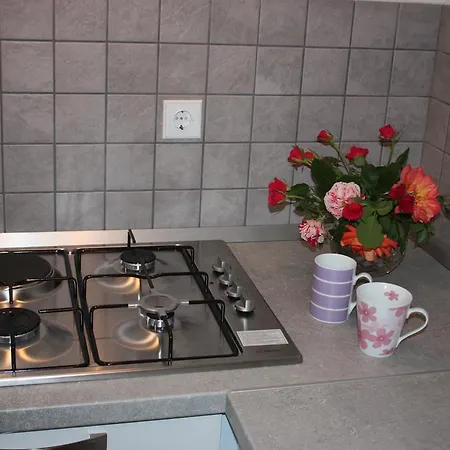 Apartment Borna Pazin Exterior photo