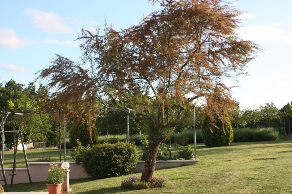 Borna Apartment Pazin